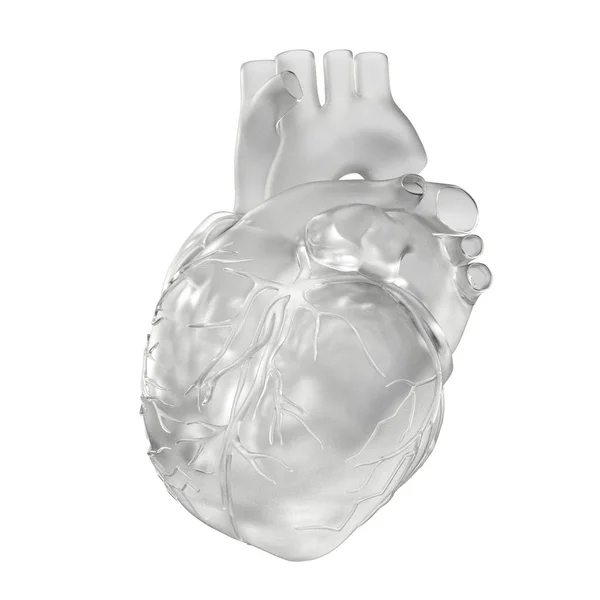 3d representación ilustración del corazón — Foto de Stock