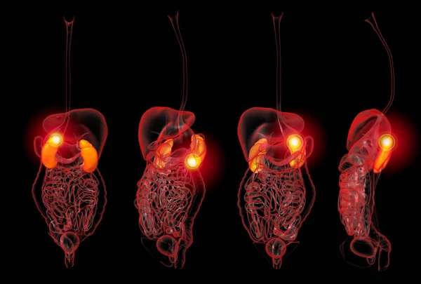 3D rendering illustration of kidneys pain collection — Stock Photo, Image