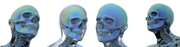 3d rendering illustration of skull anatomy — Stock Photo, Image