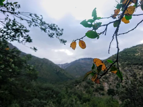 Natura Muntele Parcului Național Quebrada Macul Unde Puteți Bucura Împreună — Fotografie, imagine de stoc