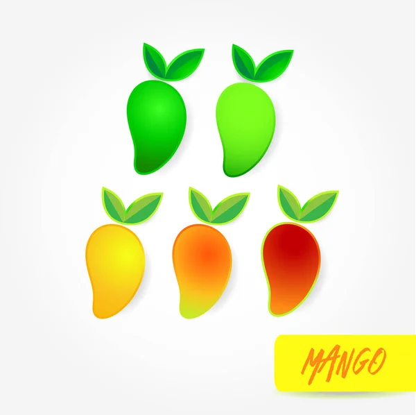 Mango Grand Vektorillustration — Stock vektor