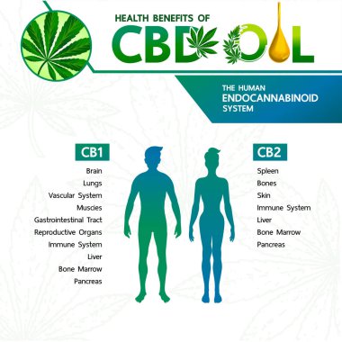 Sağlık vektörü illüstrasyonu için esrar faydaları.