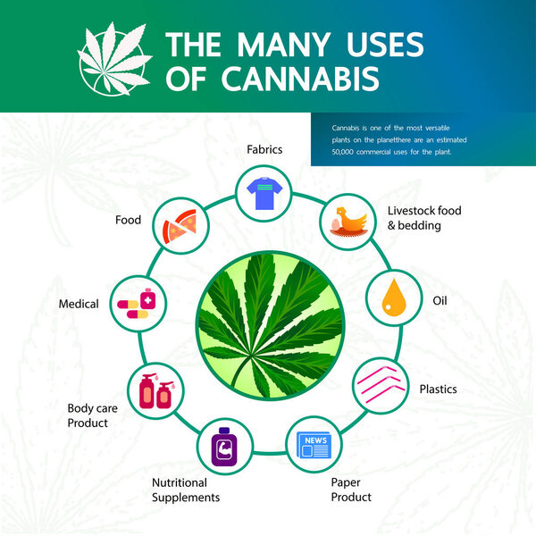 Cannabis benefits for health vector illustration.