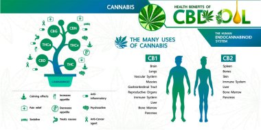 Cannabis benefits for health vector illustration. clipart