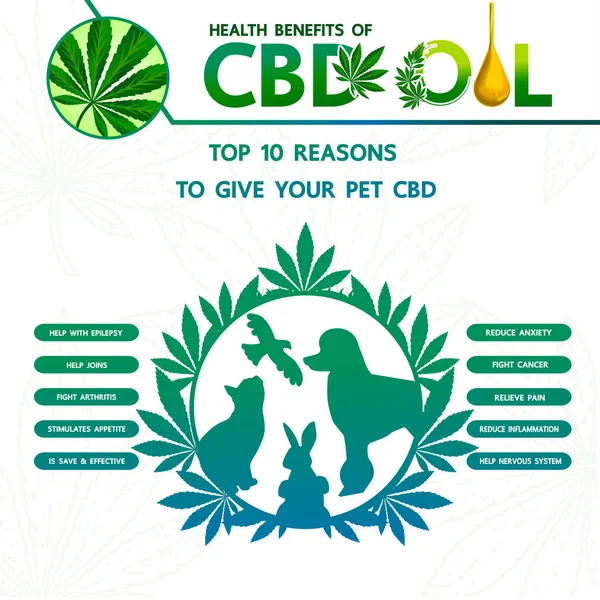 Benefícios Cannabis Para Ilustração Vetor Saúde Animal Estimação — Vetor de Stock