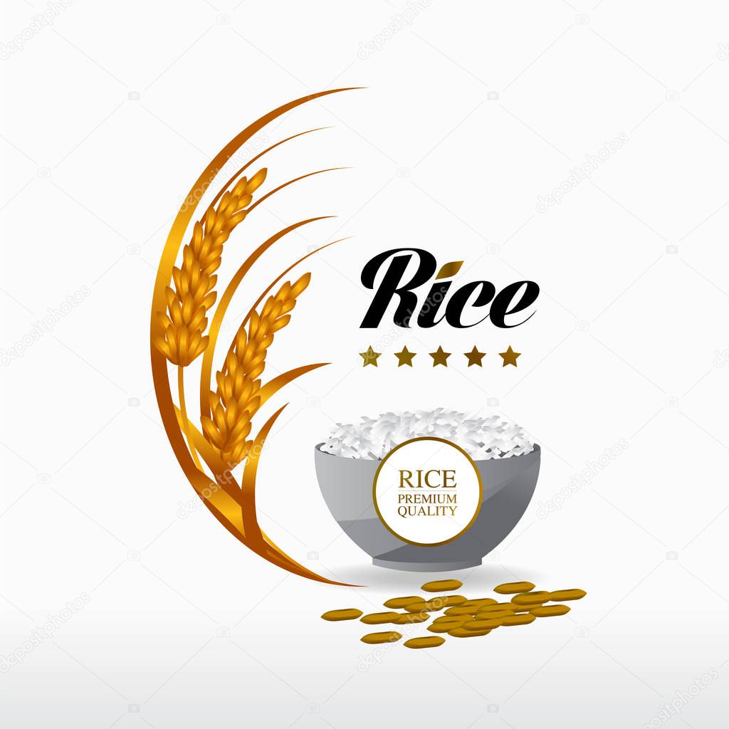 Premium Rice great quality design concept  vector.