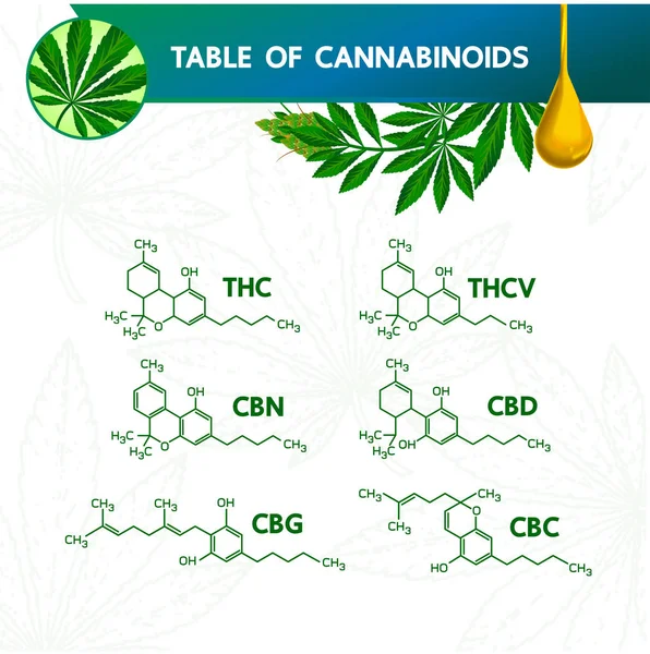 Kannabinoilds vektör illüstrasyon tablosu.