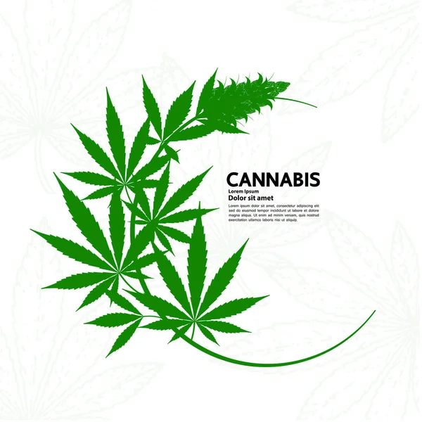 Ilustración Del Vector Hoja Cannabis Verde — Vector de stock