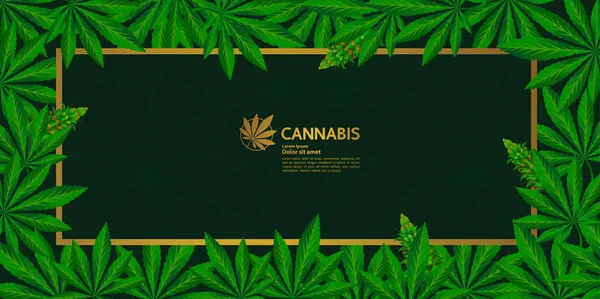 Grünes Cannabisblatt Hintergrundvektor. — Stockvektor