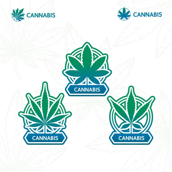 Premium Cannabispflanze Logo Vektor Illustration — Stockvektor