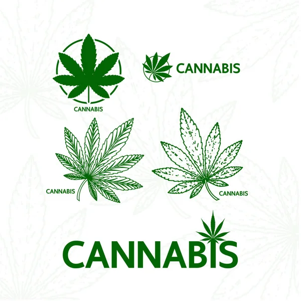 Prémio Cannabis Planta Logotipo Vetor Ilustração —  Vetores de Stock