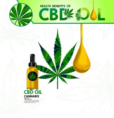 Zarif yeşil esrar yaprağı Arka plan vektör illüstrasyon.