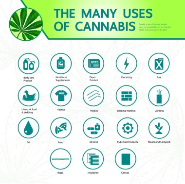 Zarif esrar büyük vektör illüstrasyon.