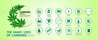 Zarif esrar büyük vektör illüstrasyon.