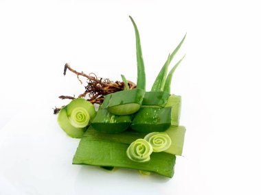 Beyaz arkaplanda taze aloe vera