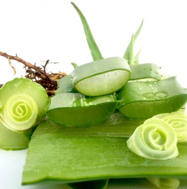 Beyaz arkaplanda taze aloe vera