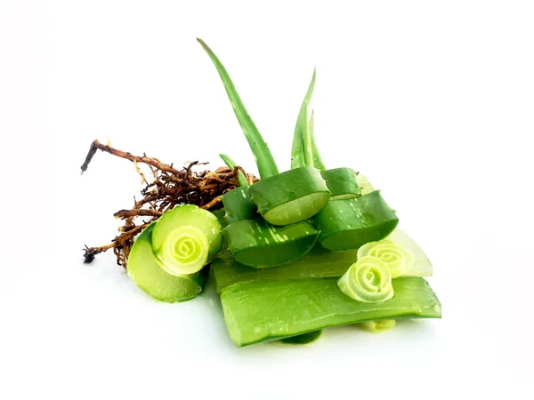 Vera Aloe Segar Pada Latar Belakang Putih — Stok Foto