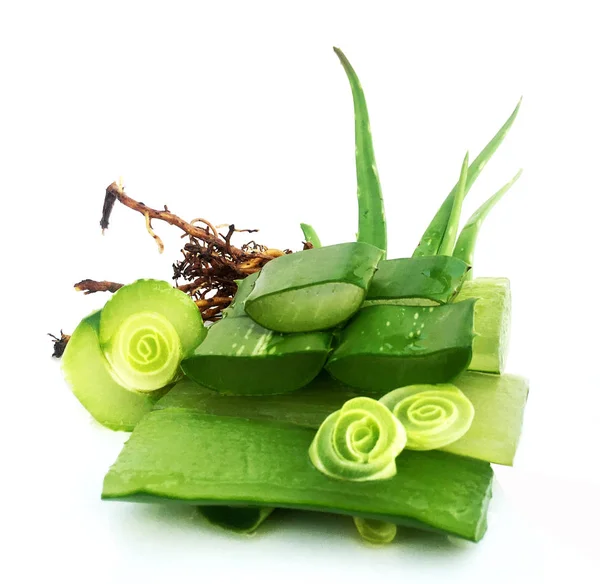 Vera Aloe Segar Pada Latar Belakang Putih — Stok Foto