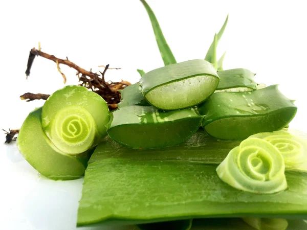 Vera Aloe Segar Pada Latar Belakang Putih — Stok Foto