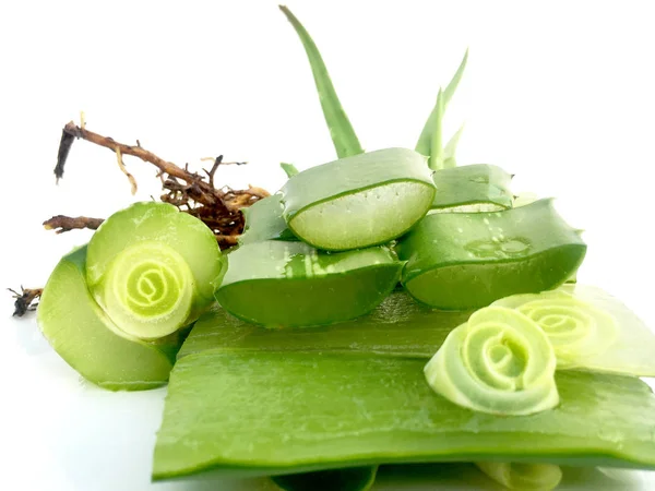 Aloe Vera Fraîche Sur Fond Blanc — Photo