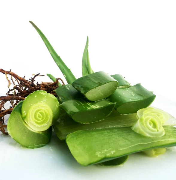 Aloe Vera Fraîche Sur Fond Blanc — Photo