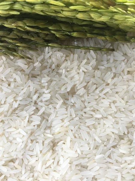 Arroz Jazmín Fresco Tailandia — Foto de Stock