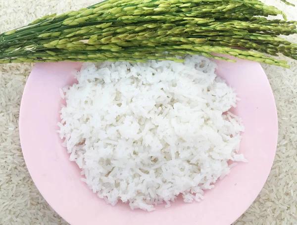 Arroz Jazmín Fresco Tailandia — Foto de Stock