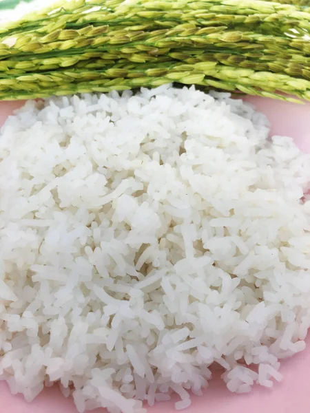 Arroz Jazmín Fresco Tailandia — Foto de Stock