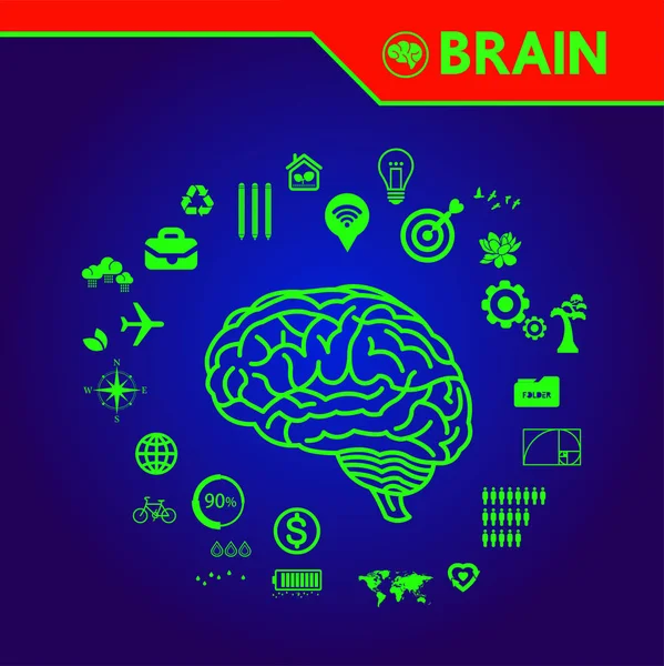 Criativa Humano Cérebro Grande Vetor Ilustração —  Vetores de Stock