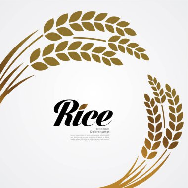 Premium Rice büyük kaliteli tasarım konsept vektör.