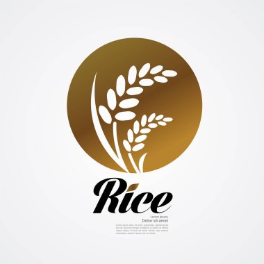 Premium Rice büyük kaliteli tasarım konsept vektör.