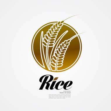 Premium Rice büyük kaliteli tasarım konsept vektör.