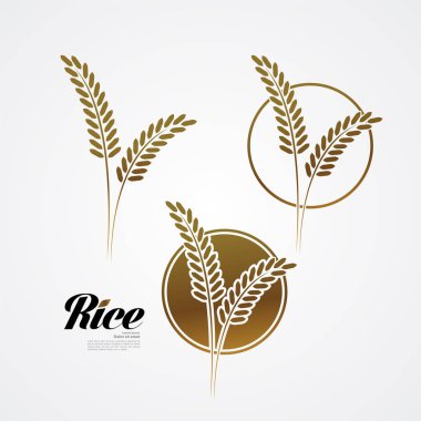 Premium Rice büyük kaliteli tasarım konsept vektör.