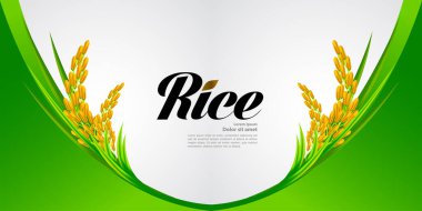 Premium Rice büyük kaliteli tasarım konsept vektör.
