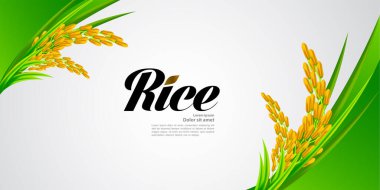 Premium Rice büyük kaliteli tasarım konsept vektör.