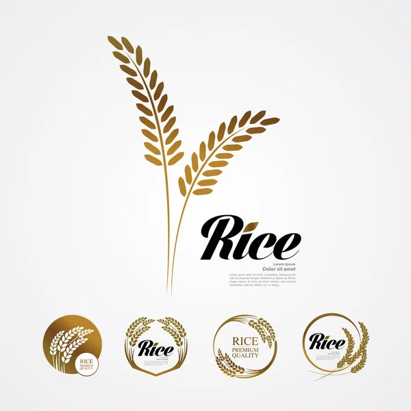 Premium Rice Vettore Del Concetto Design Grande Qualità — Vettoriale Stock