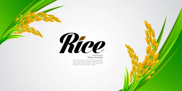 Premium Riz Concept Conception Grande Qualité Vecteur — Image vectorielle