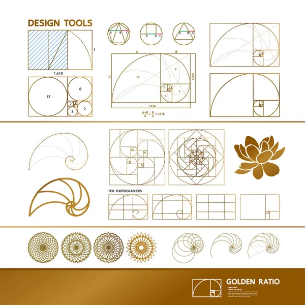 創造的なデザインベクトルのイラストのための黄金比 — ストックベクタ