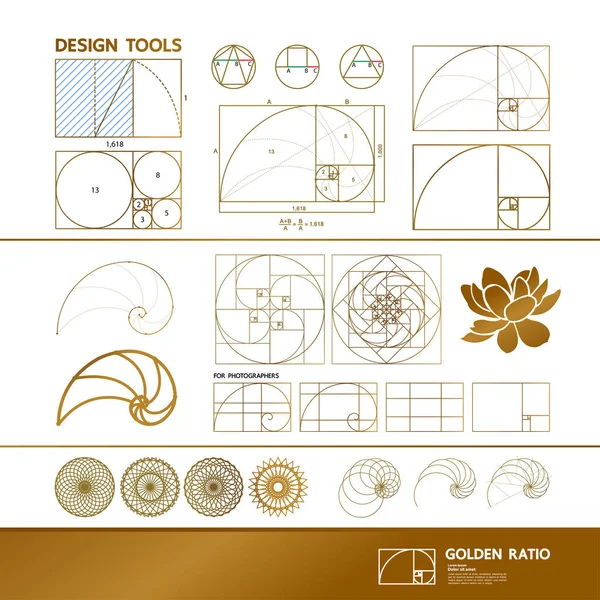 Goldener Schnitt Für Kreative Designvektorillustration — Stockvektor