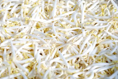 Arkaplan için soyut bulanık yeşil renk, tasarım için bulanık ve odaksız bahar kavramı.