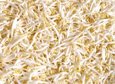 Taze kabuklu yeşil fasulye filizleri