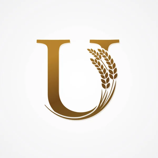 Χρυσό Γράμμα Ρύζι Για Σχεδιασμό Λογότυπου — Διανυσματικό Αρχείο