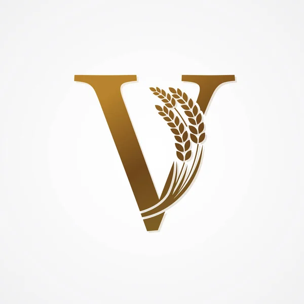 Χρυσό Γράμμα Ρύζι Για Σχεδιασμό Λογότυπου — Διανυσματικό Αρχείο
