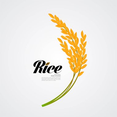 Premium Rice büyük kaliteli tasarım konsept vektör.