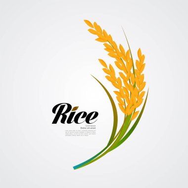 Premium Rice büyük kaliteli tasarım konsept vektör.