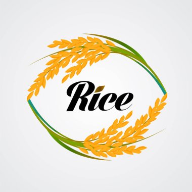 Premium Rice büyük kaliteli tasarım konsept vektör.