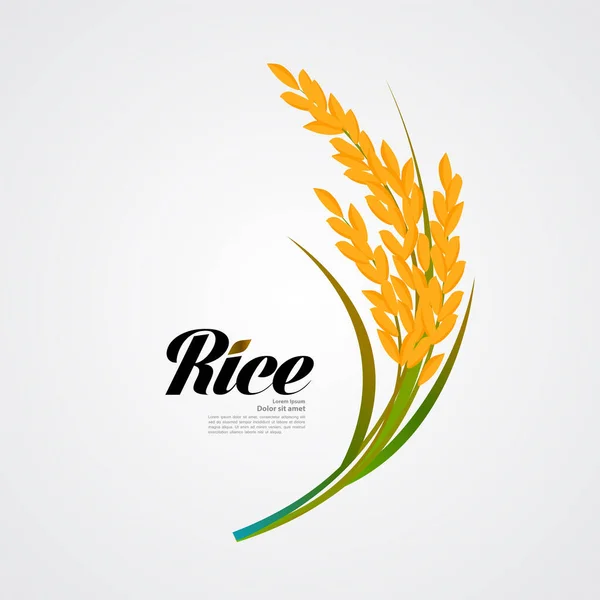 Premium Arroz Gran Calidad Diseño Concepto Vector — Vector de stock