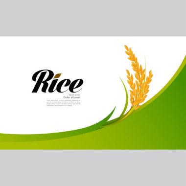 Premium Rice büyük kaliteli tasarım konsept vektör.