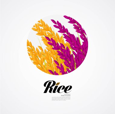 Premium Rice büyük kaliteli tasarım konsept vektör.