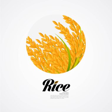 Premium Rice büyük kaliteli tasarım konsept vektör.